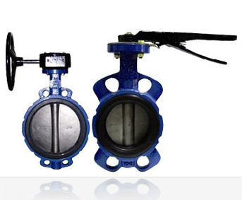 Manual Valves